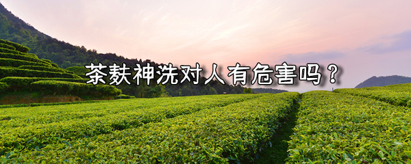 茶麸神洗对人有危害吗?